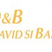 David si Baias - Societate Civila